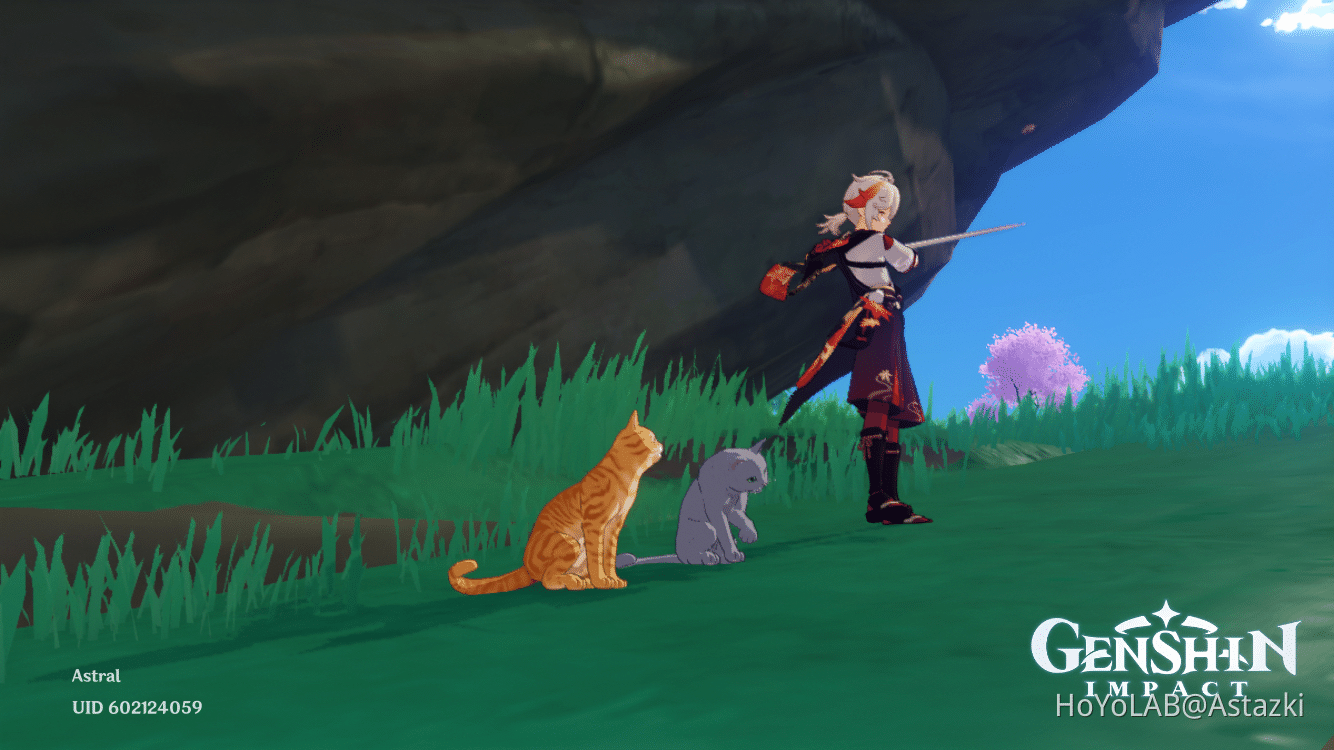Mihoyo gotta have a thing for cats. Genshin Impact | HoYoLAB