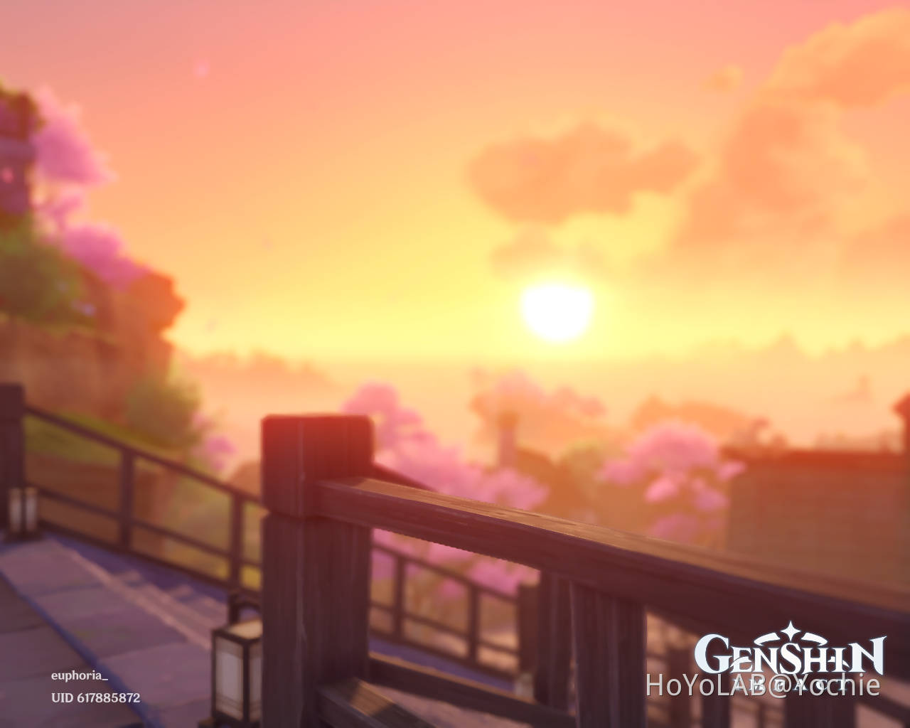 A land full of cherry blossoms Genshin Impact HoYoLAB