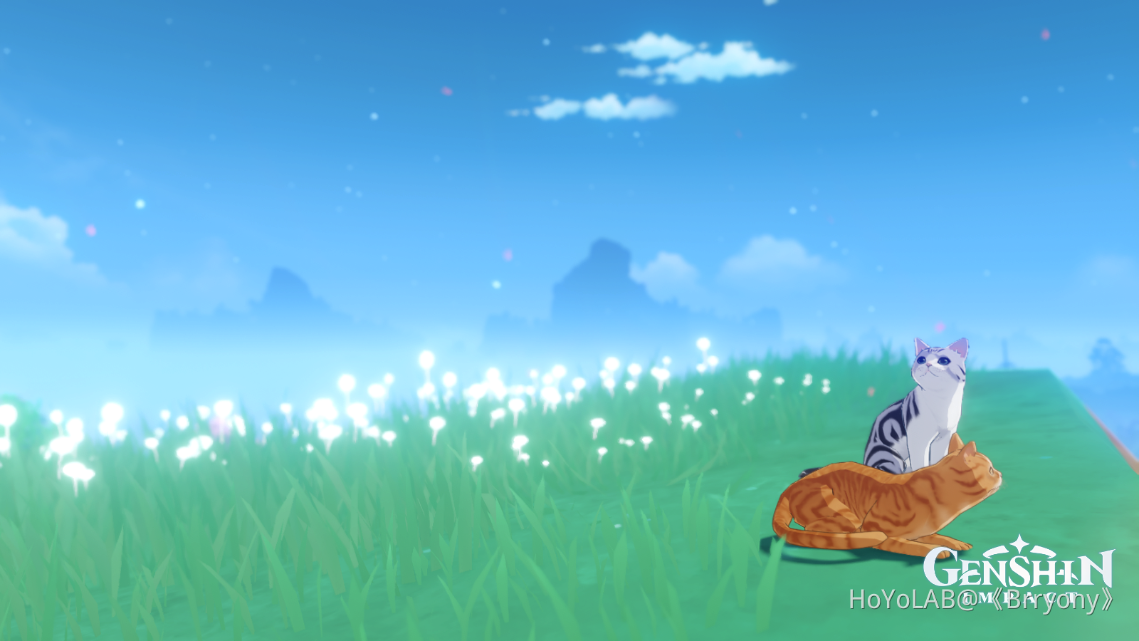 Cats Genshin Impact HoYoLAB