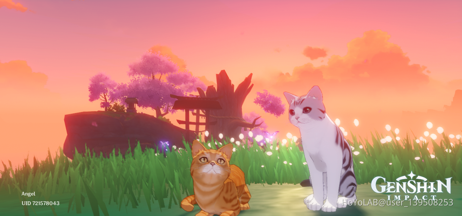 Nice cats Genshin Impact | HoYoLAB