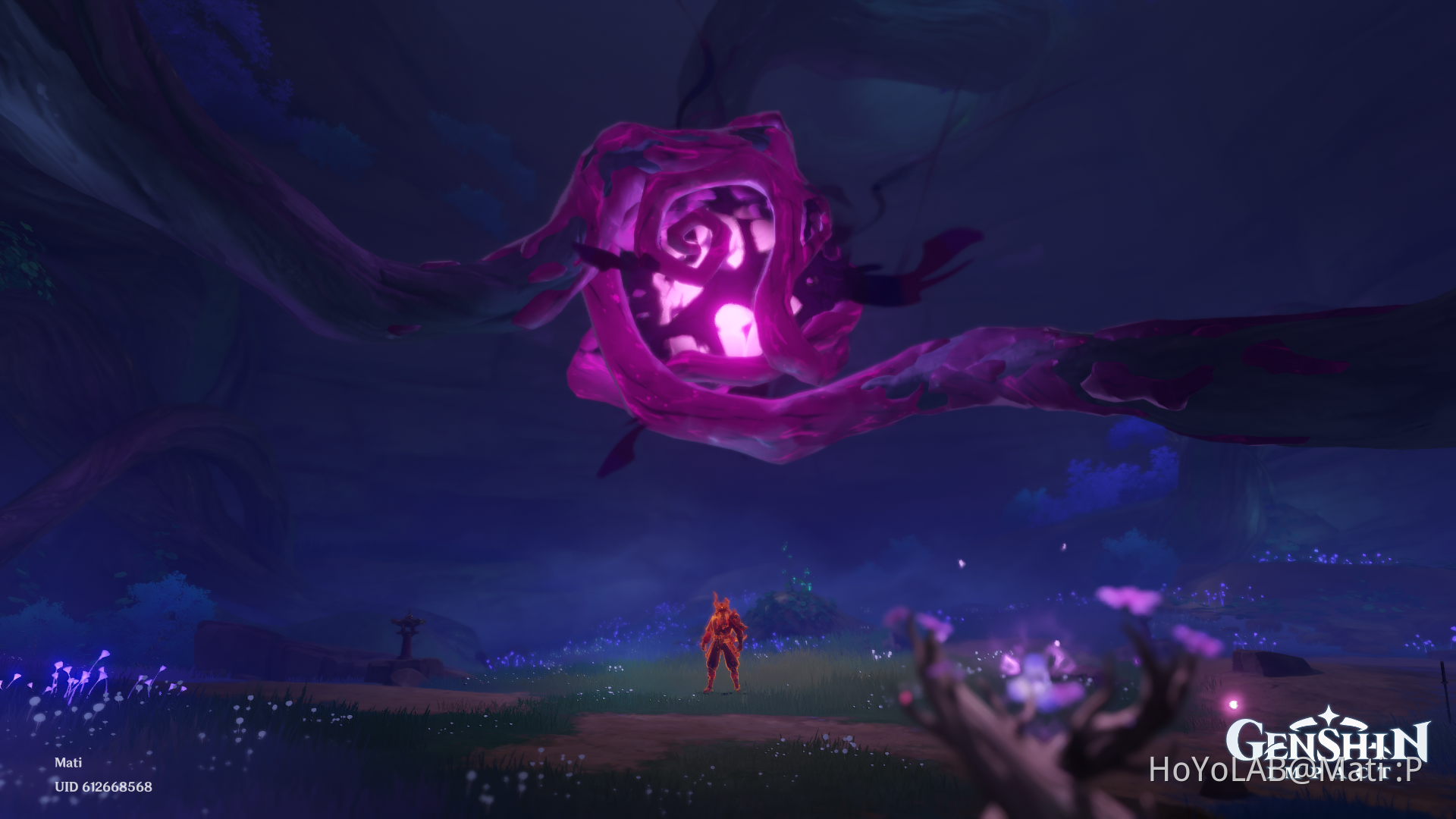 Final Boss Genshin Impact HoYoLAB