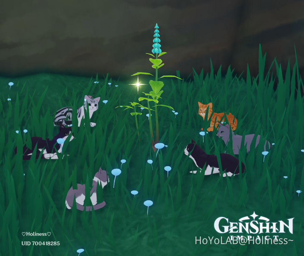 Cats Genshin Impact | HoYoLAB