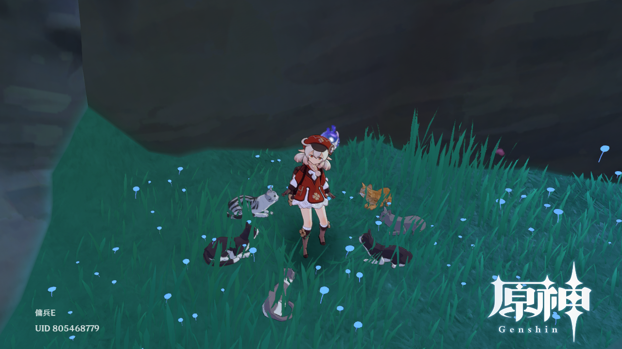 cats meeting Genshin Impact | HoYoLAB