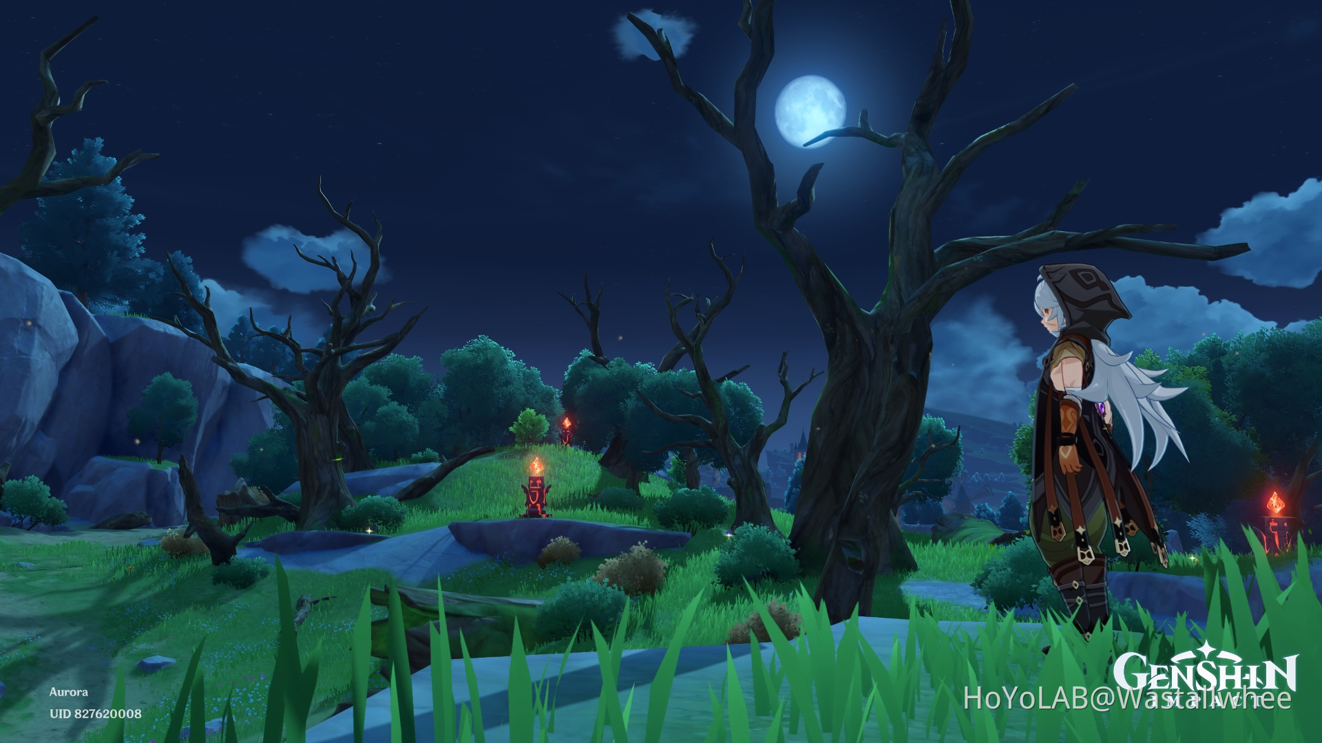 Clear Night in Wolvendom Genshin Impact HoYoLAB