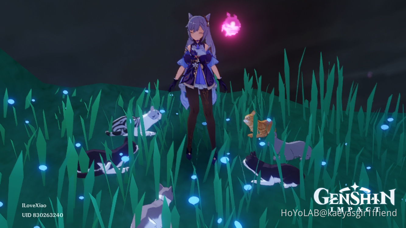 Cat girl with cats🥺 Genshin Impact | HoYoLAB