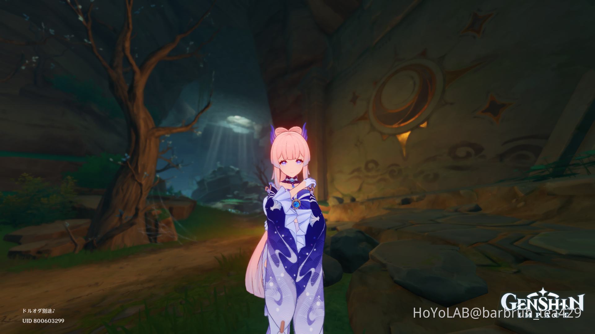 Tsurumi 6 Murals Location and My 3 Perches Routes D Genshin Impact