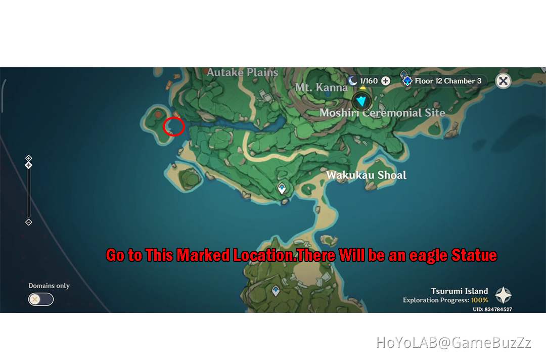 Hidden Precious Chest Quest In Tsurumi Island Inazuma...Genshin Impact