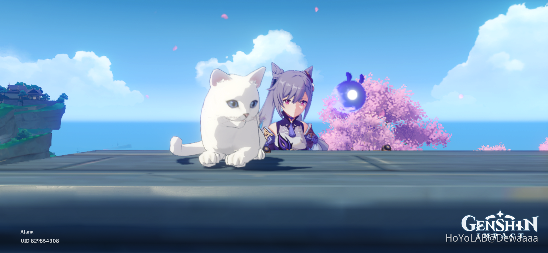 Cats Genshin Impact | HoYoLAB