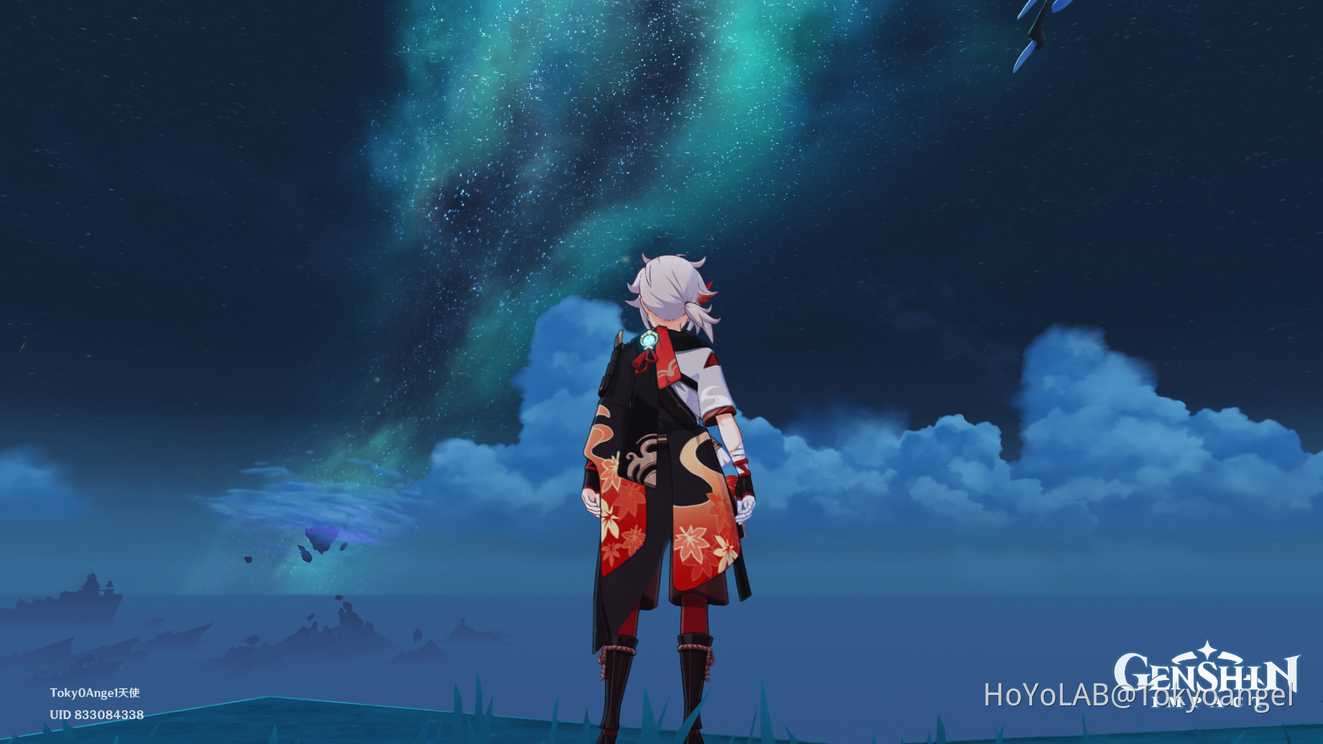 Kazuha Aurora Genshin Impact HoYoLAB