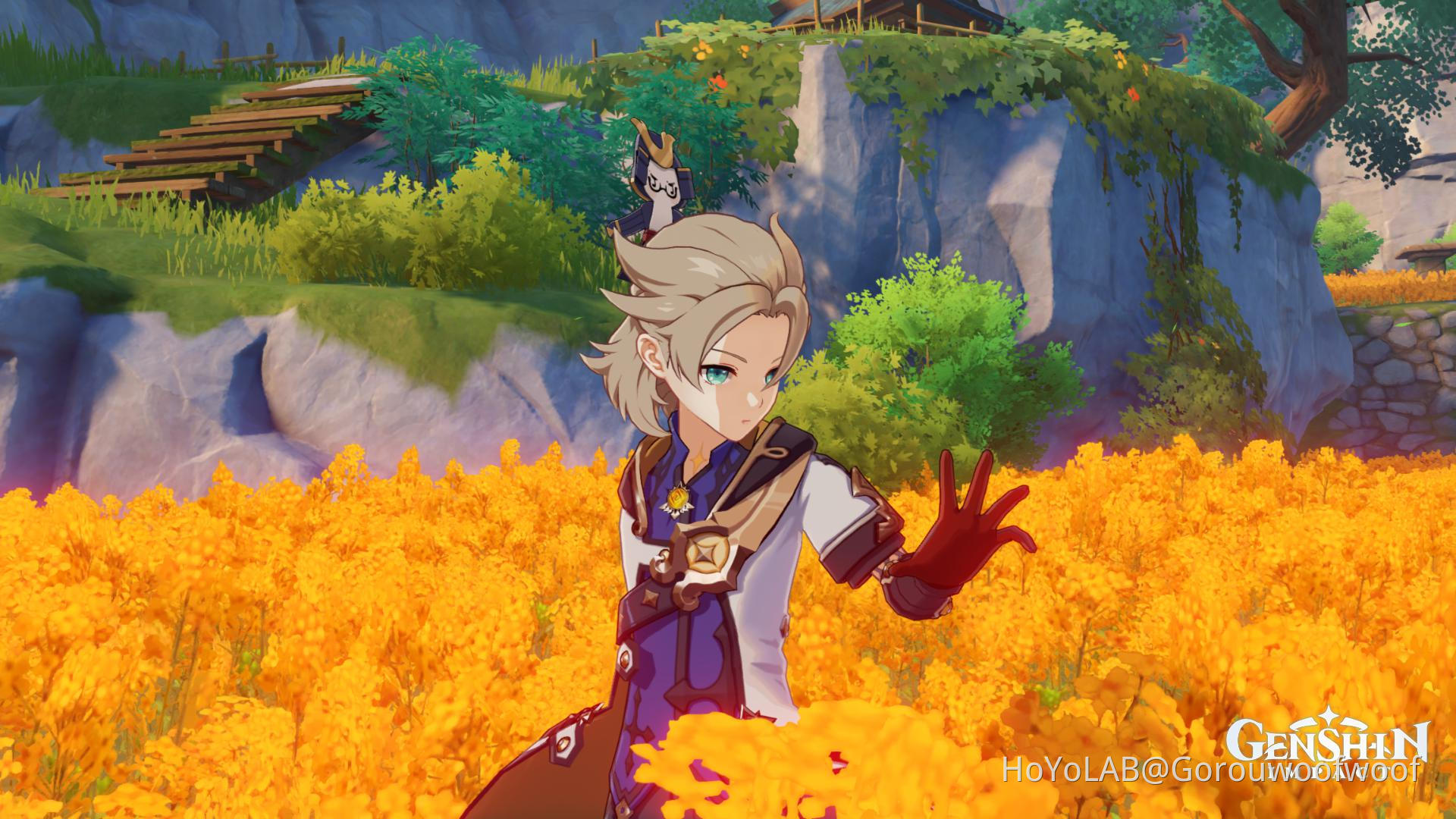 Flower field Genshin Impact HoYoLAB