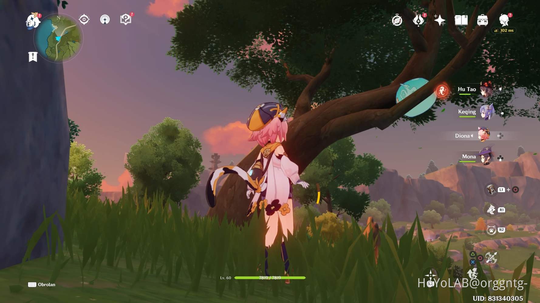 [Hidden Chest7] Semua Lokasi Balon Slime Dan Tumpukan Batu Kecil Di