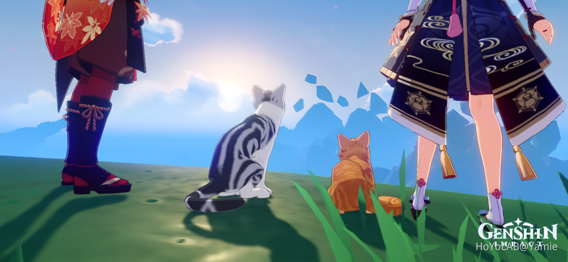 Cats Genshin Impact | HoYoLAB