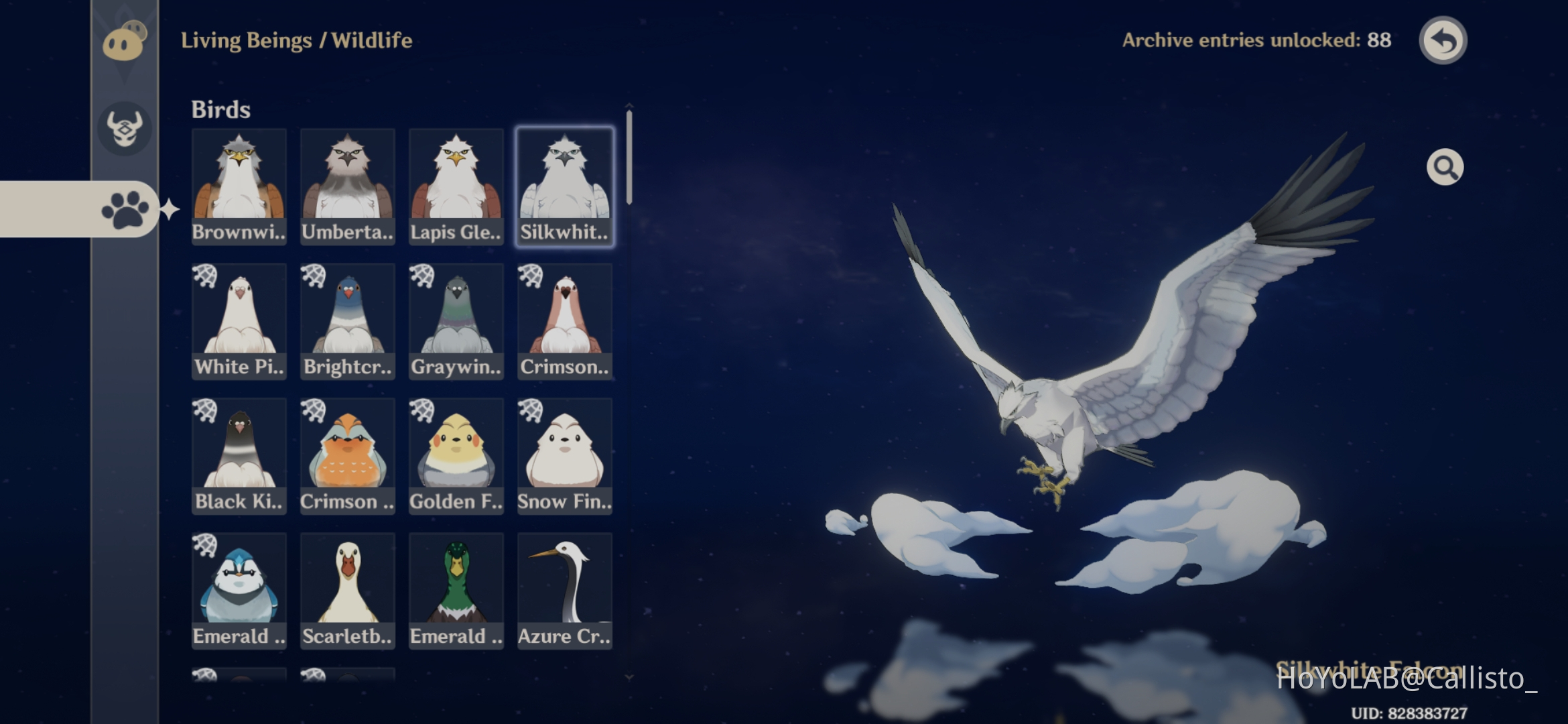 Bird Collection Genshin Impact | HoYoLAB