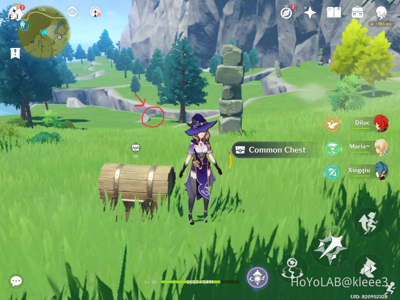 Hidden chests that you may have missed while exploring Starfell Valley