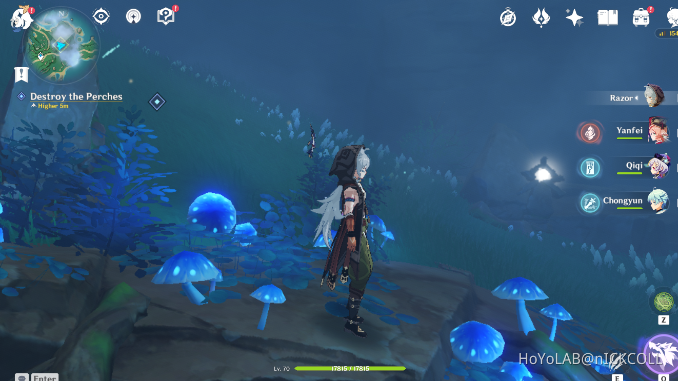 the sea of fog and the rite of the trees bug