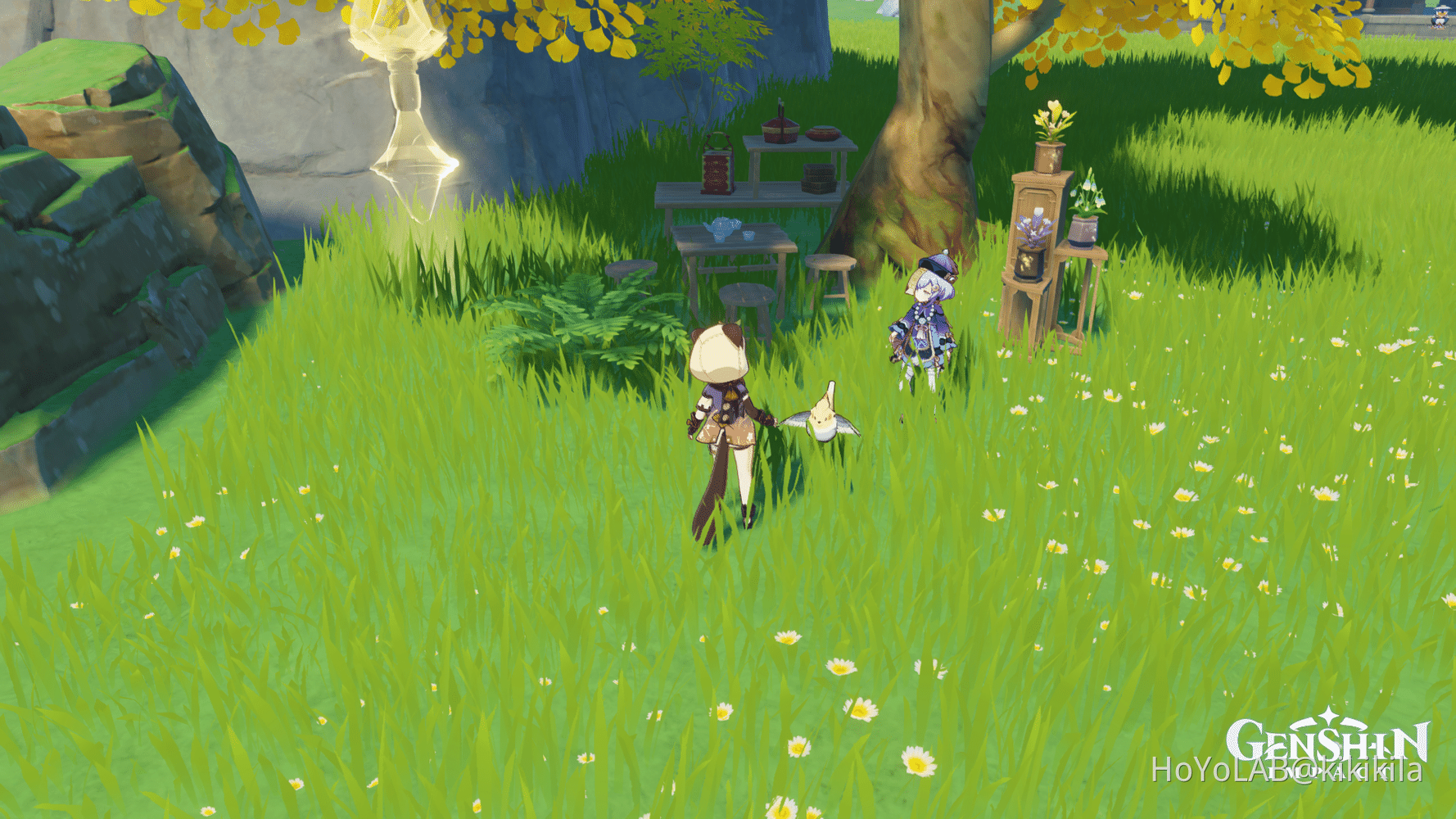 qiqi's pet finchh Genshin Impact HoYoLAB