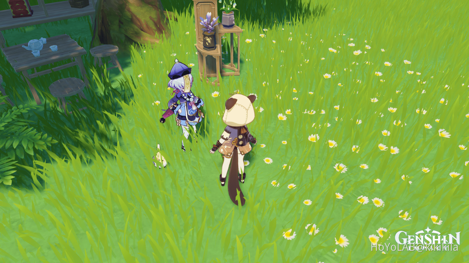 qiqi's pet finchh Genshin Impact HoYoLAB