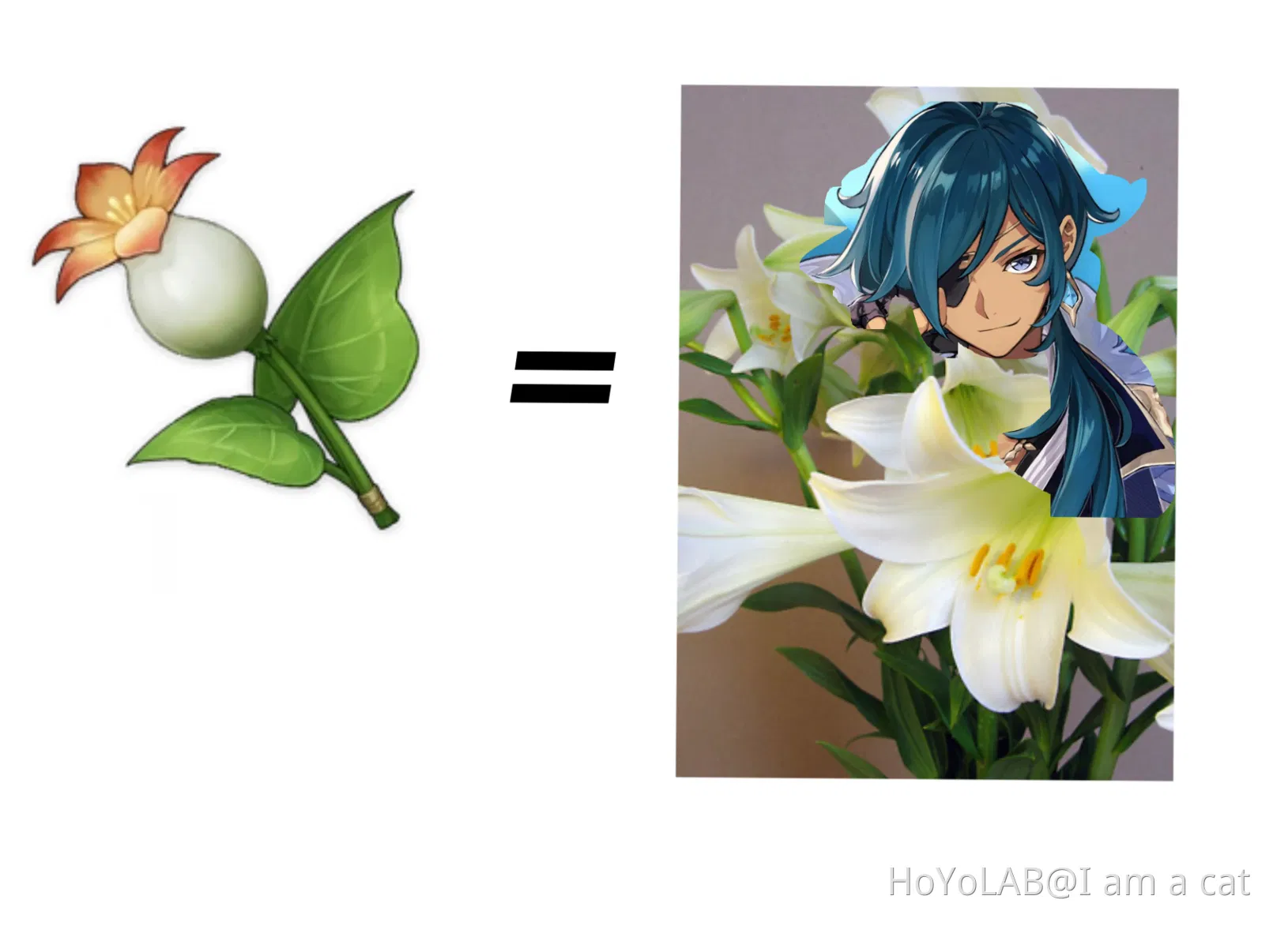 Calla lily Genshin Impact HoYoLAB