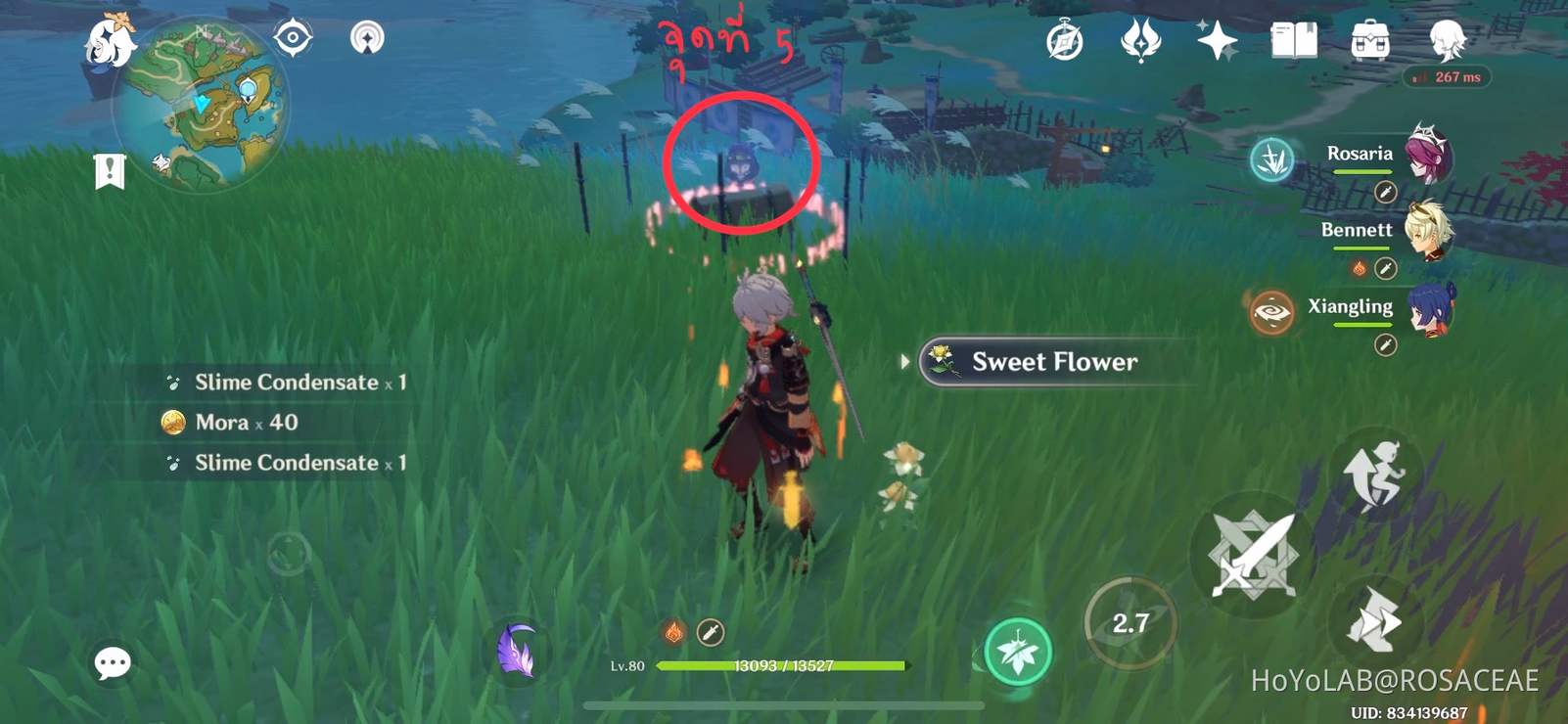 กล่อง Common Chest ที่ Higi Village Genshin Impact HoYoLAB