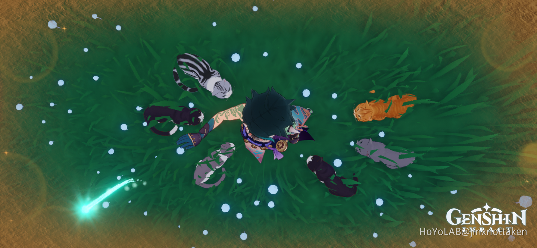cats :] Genshin Impact | HoYoLAB