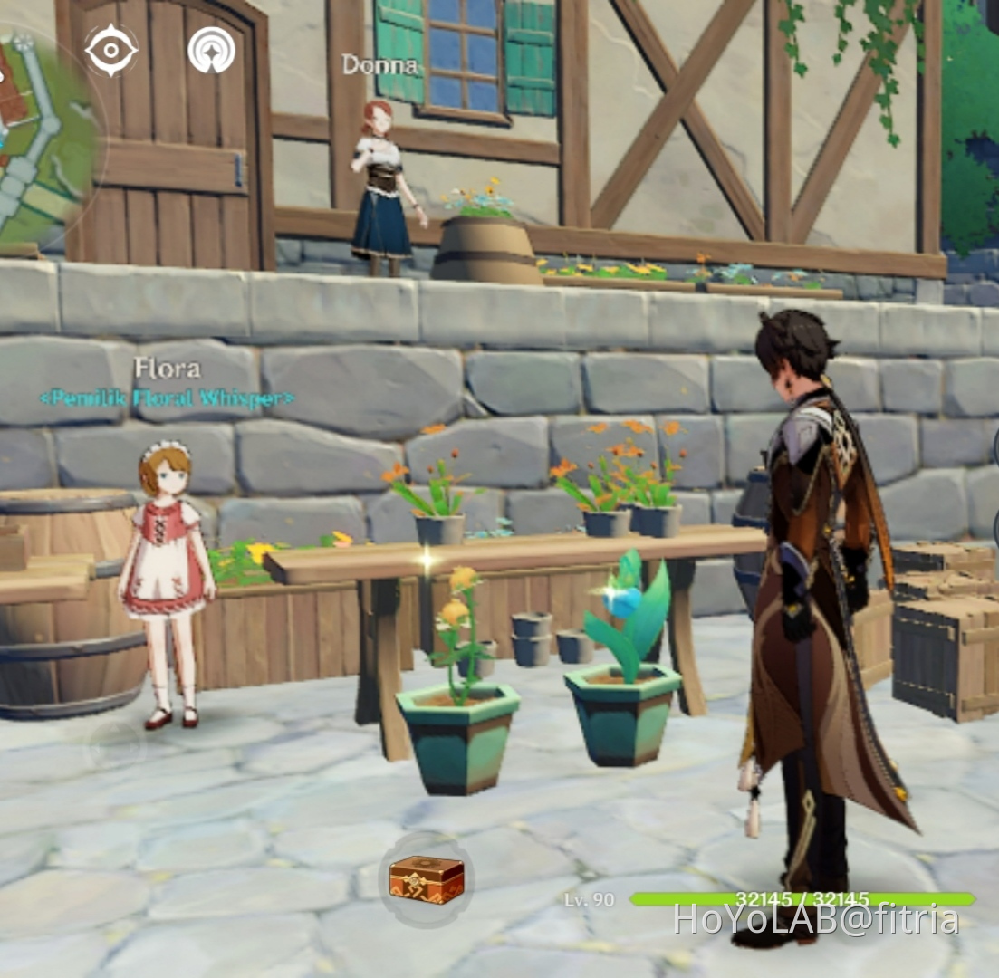 Flora Genshin Impact HoYoLAB