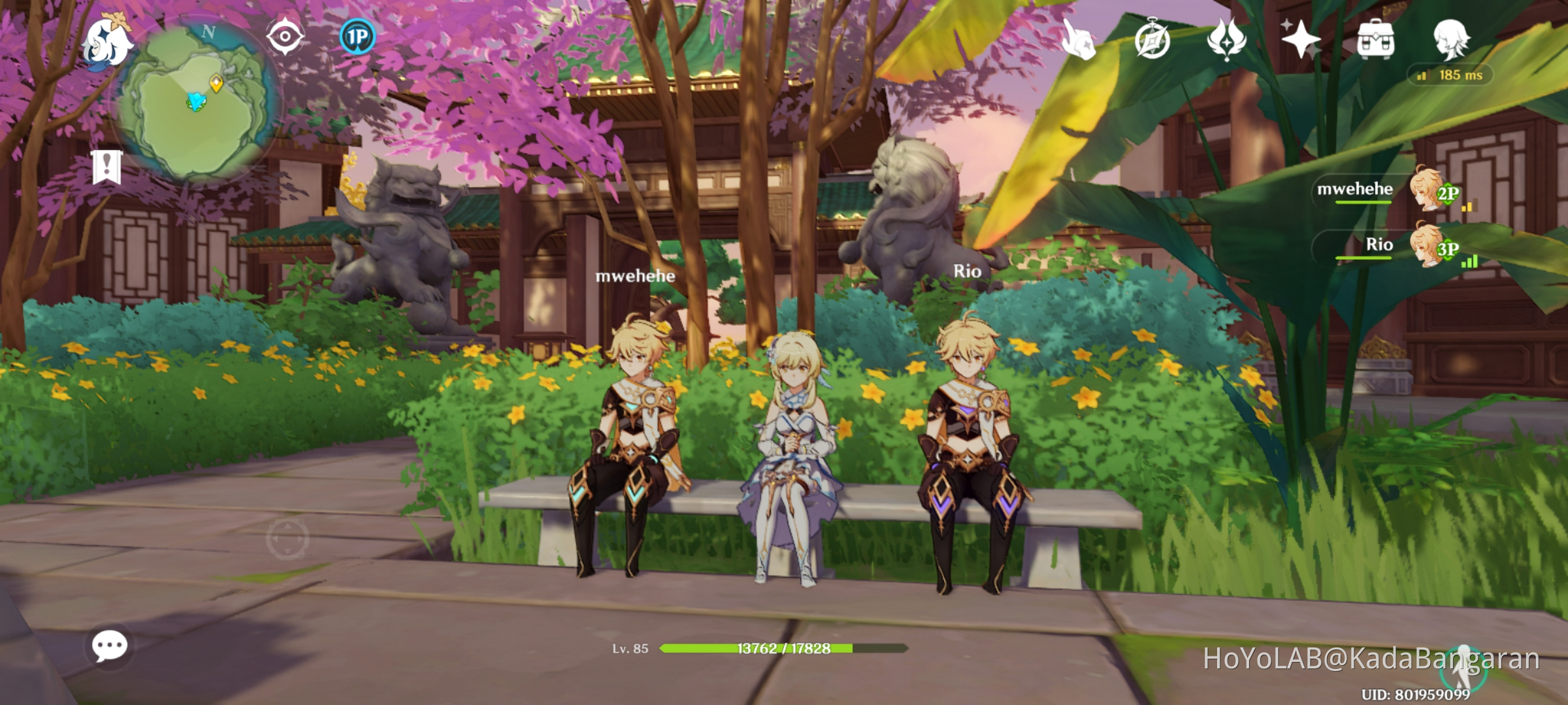 Pot! Genshin Impact HoYoLAB