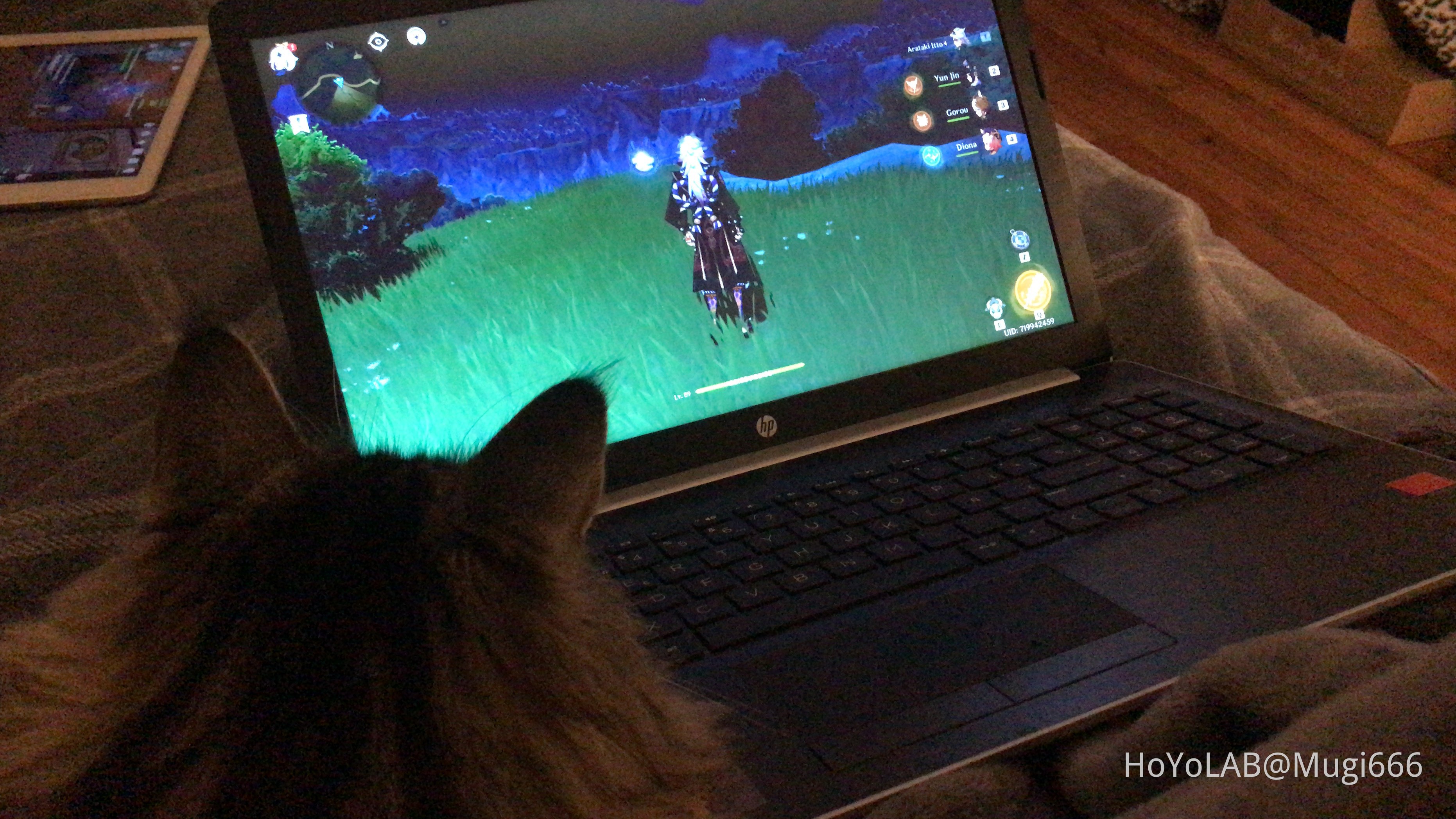 My Cat Likes To Groom Herself On Me My Cat Likes To Groom Herself On Me