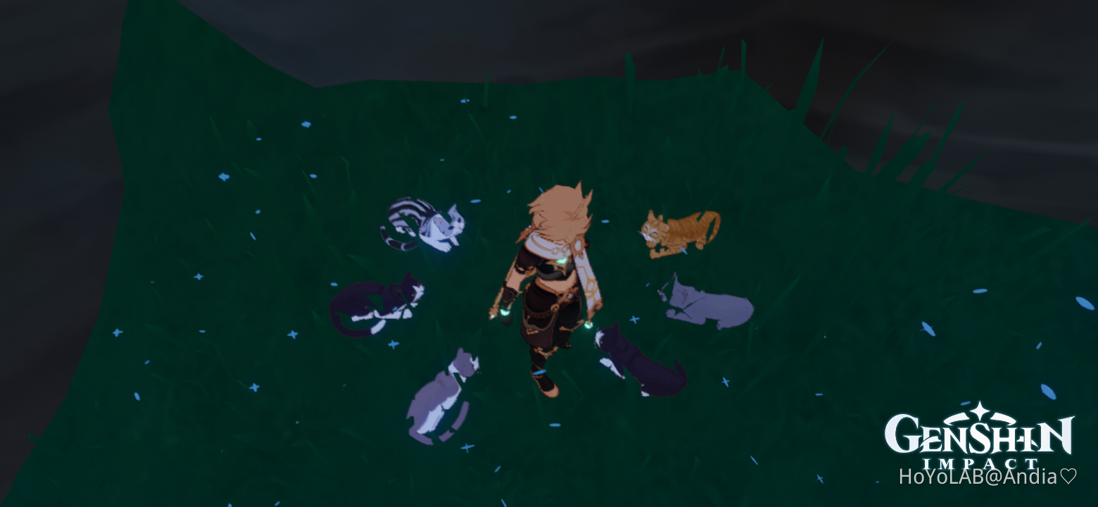 Cats at the Cat shrine in Seiri island😍🥰 Genshin Impact | HoYoLAB