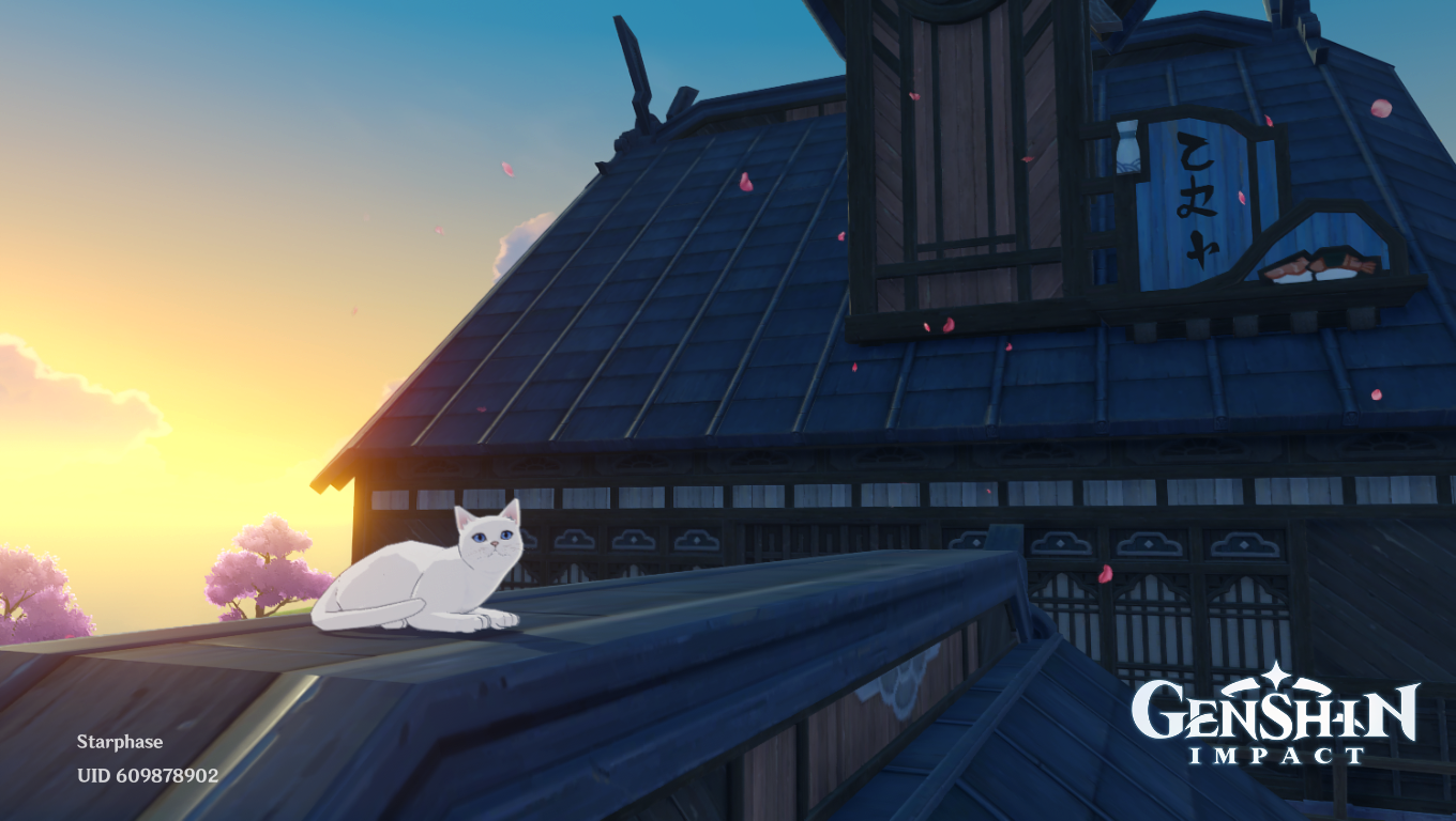 Want to pet this cat Genshin Impact | HoYoLAB