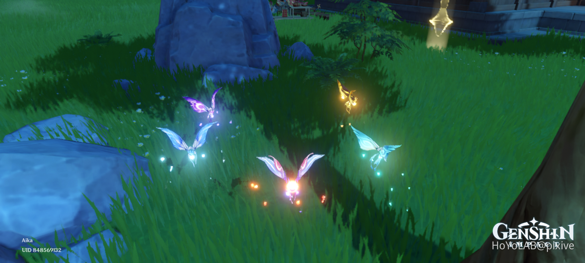 Crystal Flies collection Genshin Impact HoYoLAB