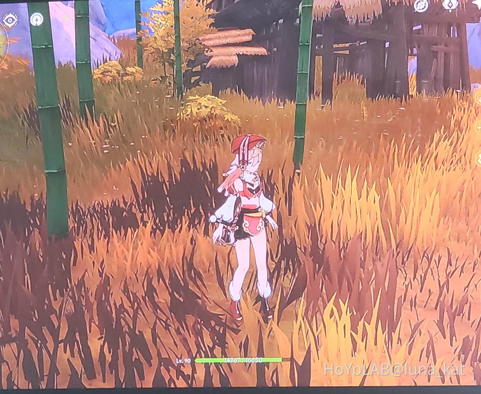 exquisite chest Genshin Impact HoYoLAB