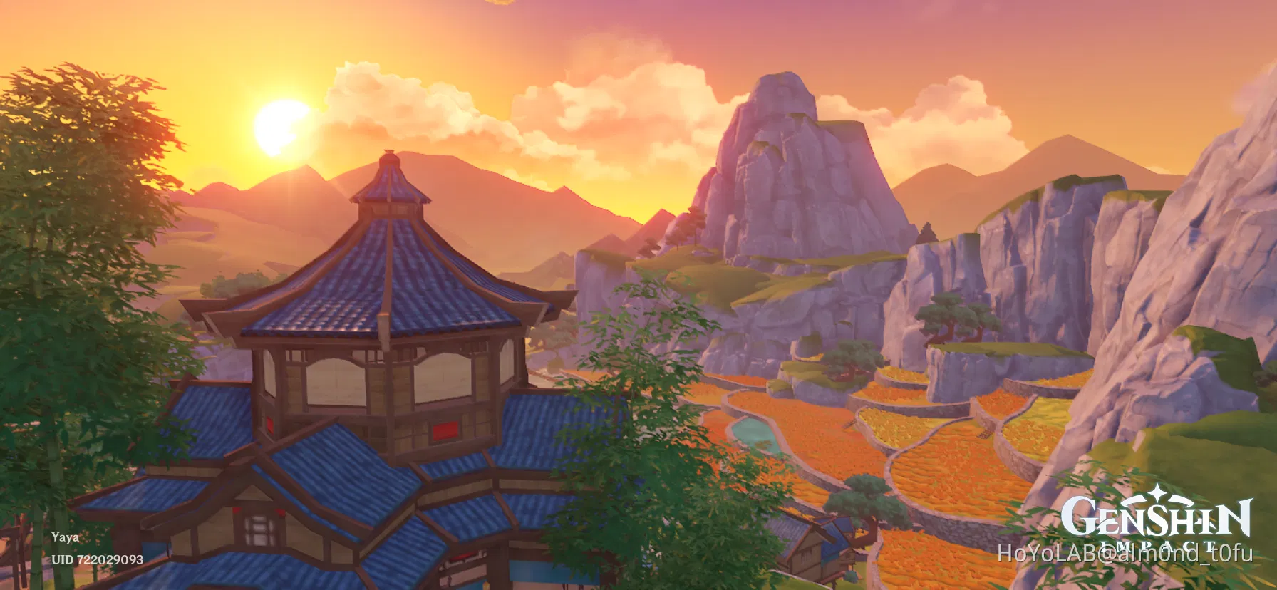 The Qingce village Genshin Impact HoYoLAB