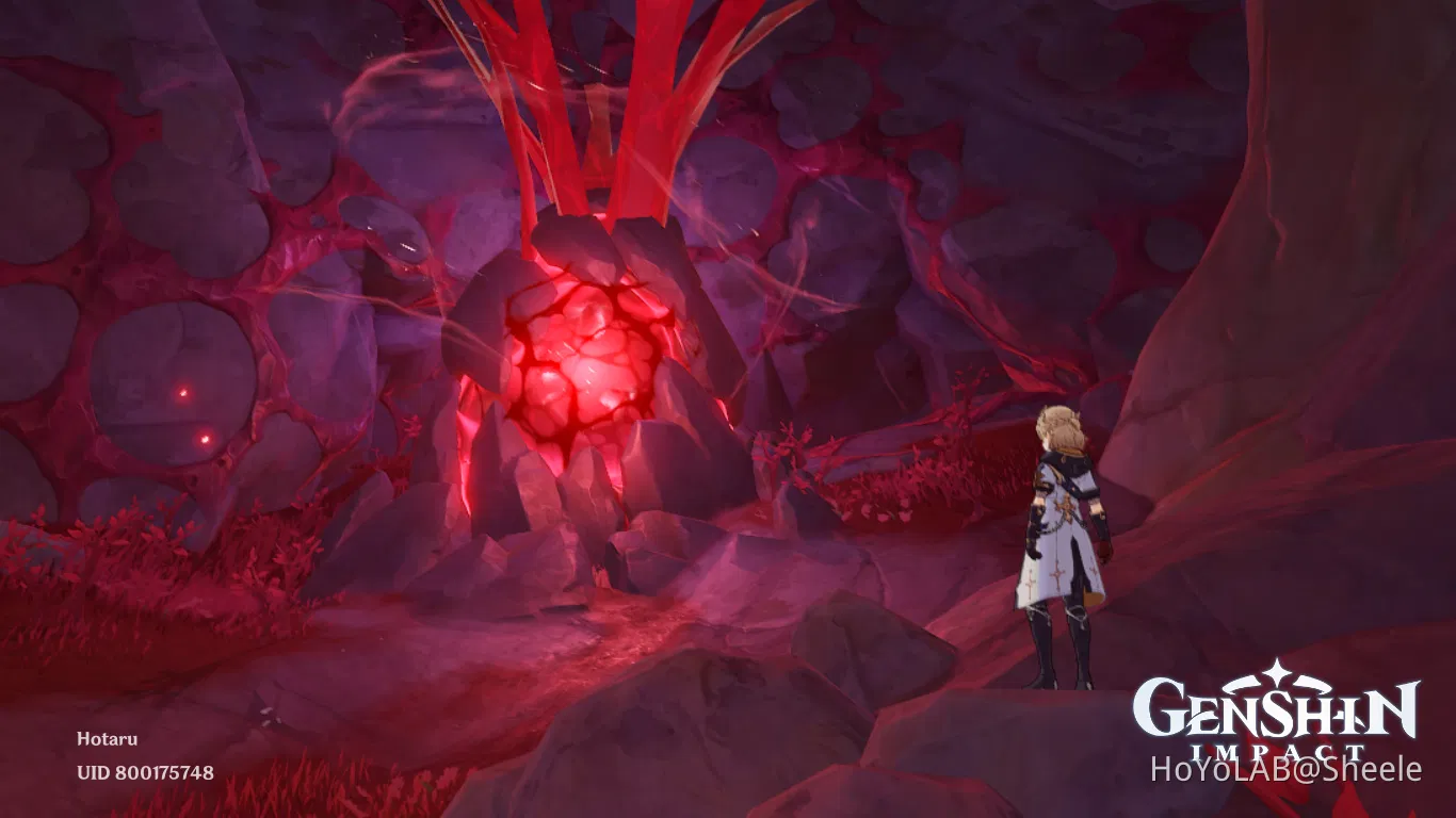 Black Dragon Durin Heart Genshin Impact HoYoLAB