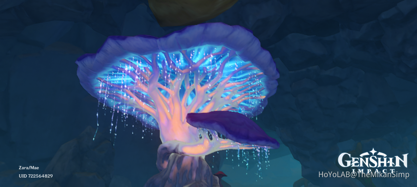 MUSHROOM Genshin Impact | HoYoLAB