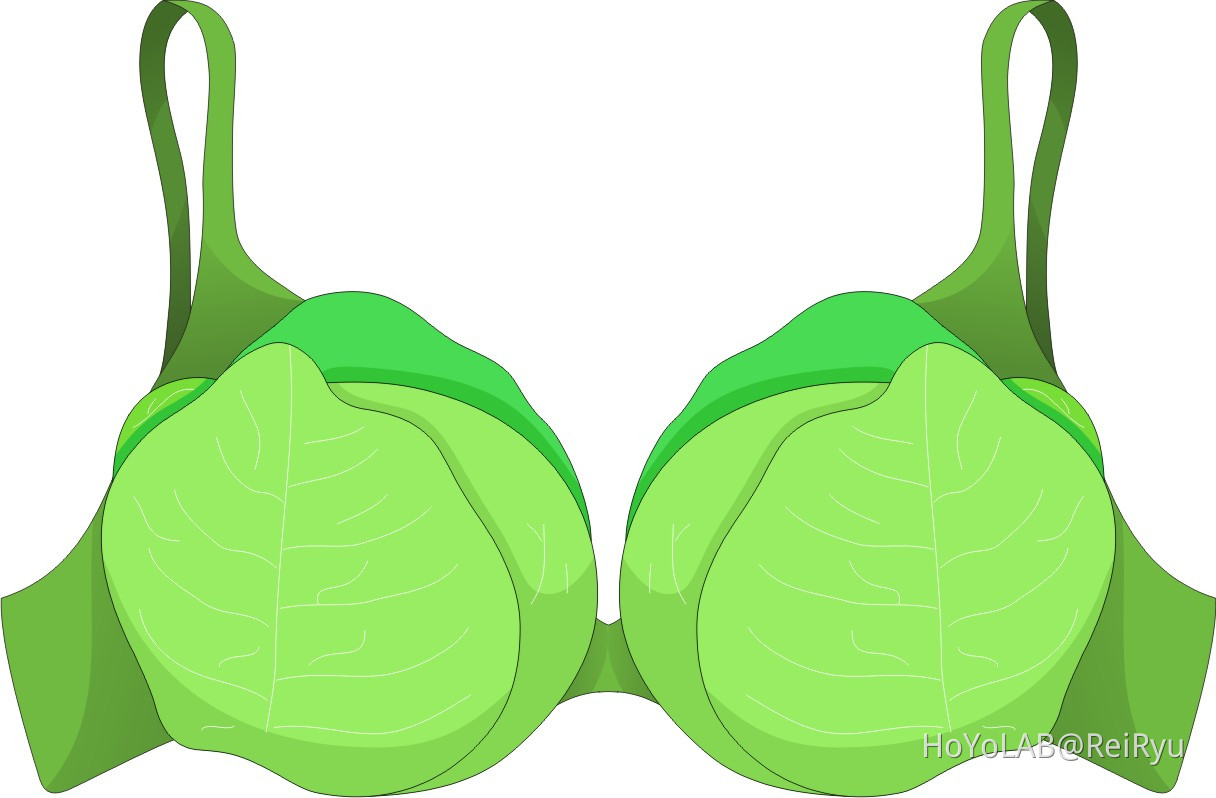 CaDaBra (Cabbage Daily Bra) Honkai Impact 3rd HoYoLAB