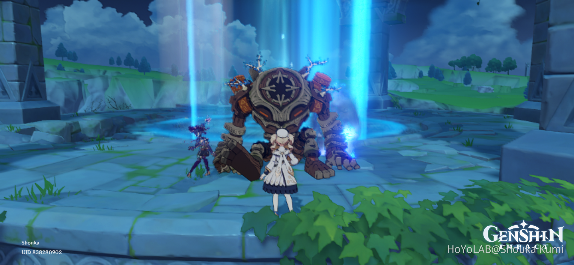 Grandpa Tiller (Field Tiller) Genshin Impact HoYoLAB