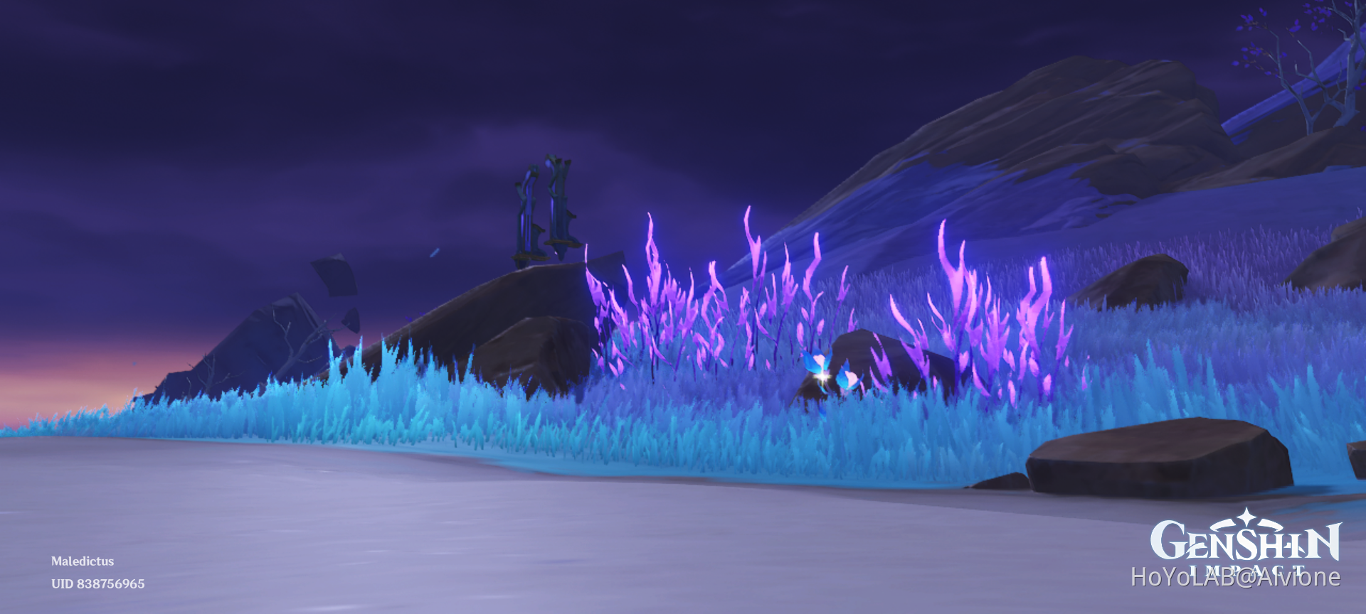 genshin-event-photos-and-random-shots-genshin-impact-hoyolab