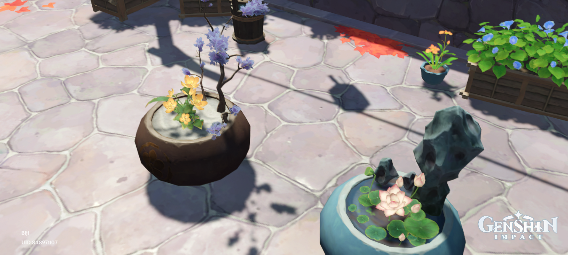 HoYoLAB Official Community