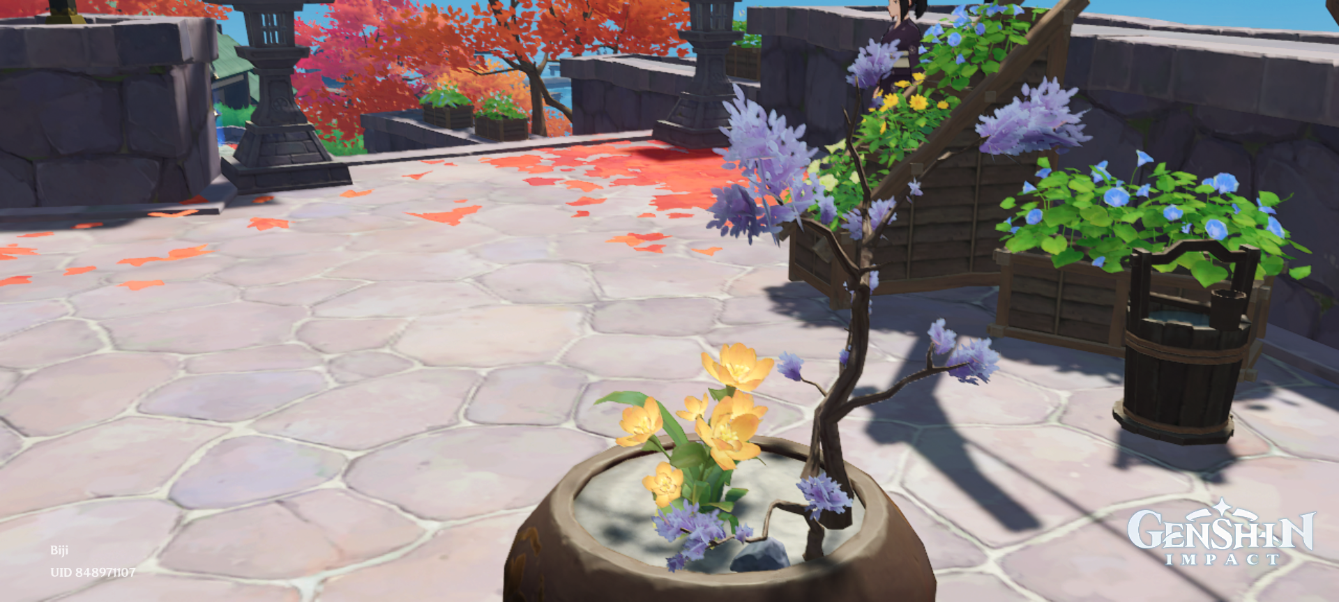 HoYoLAB Official Community