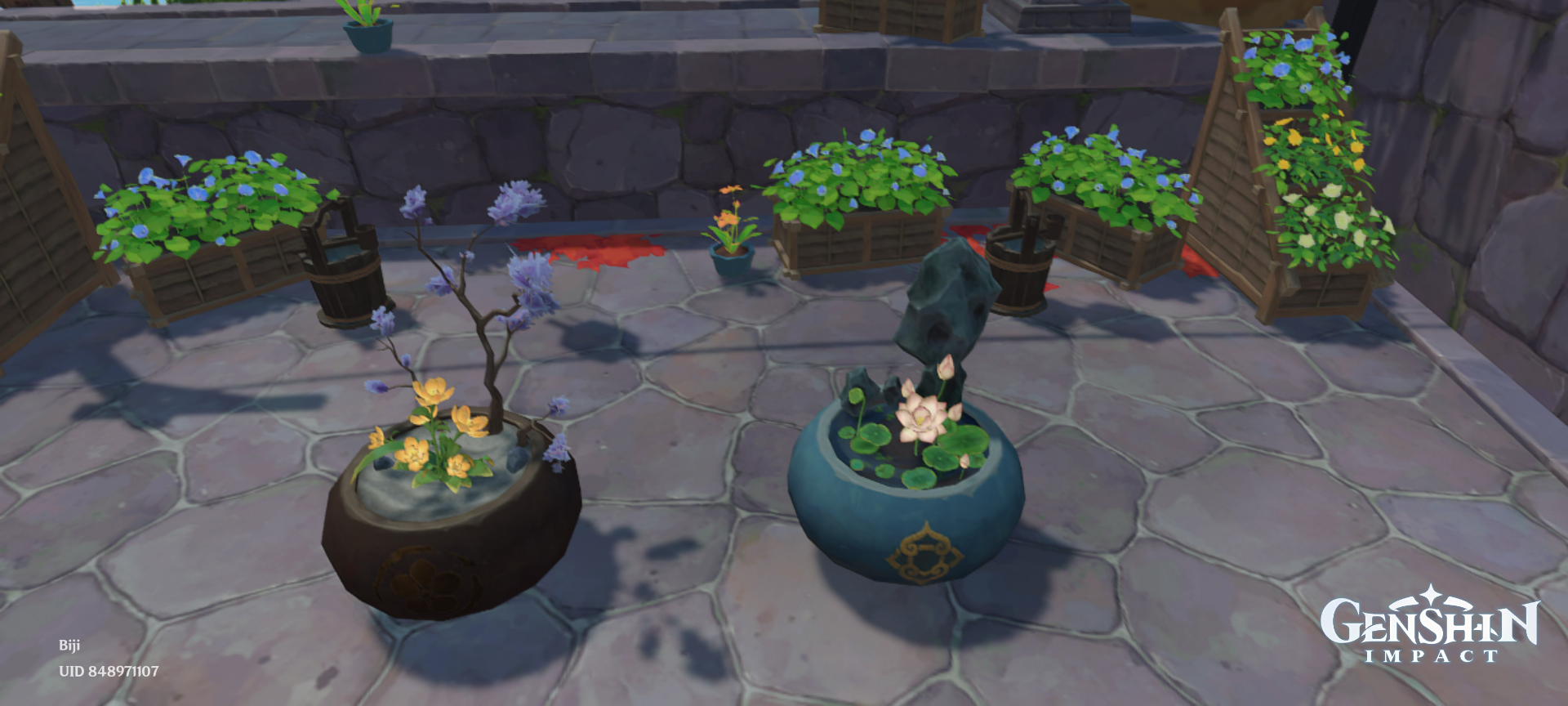 Ikebana Genshin Impact HoYoLAB