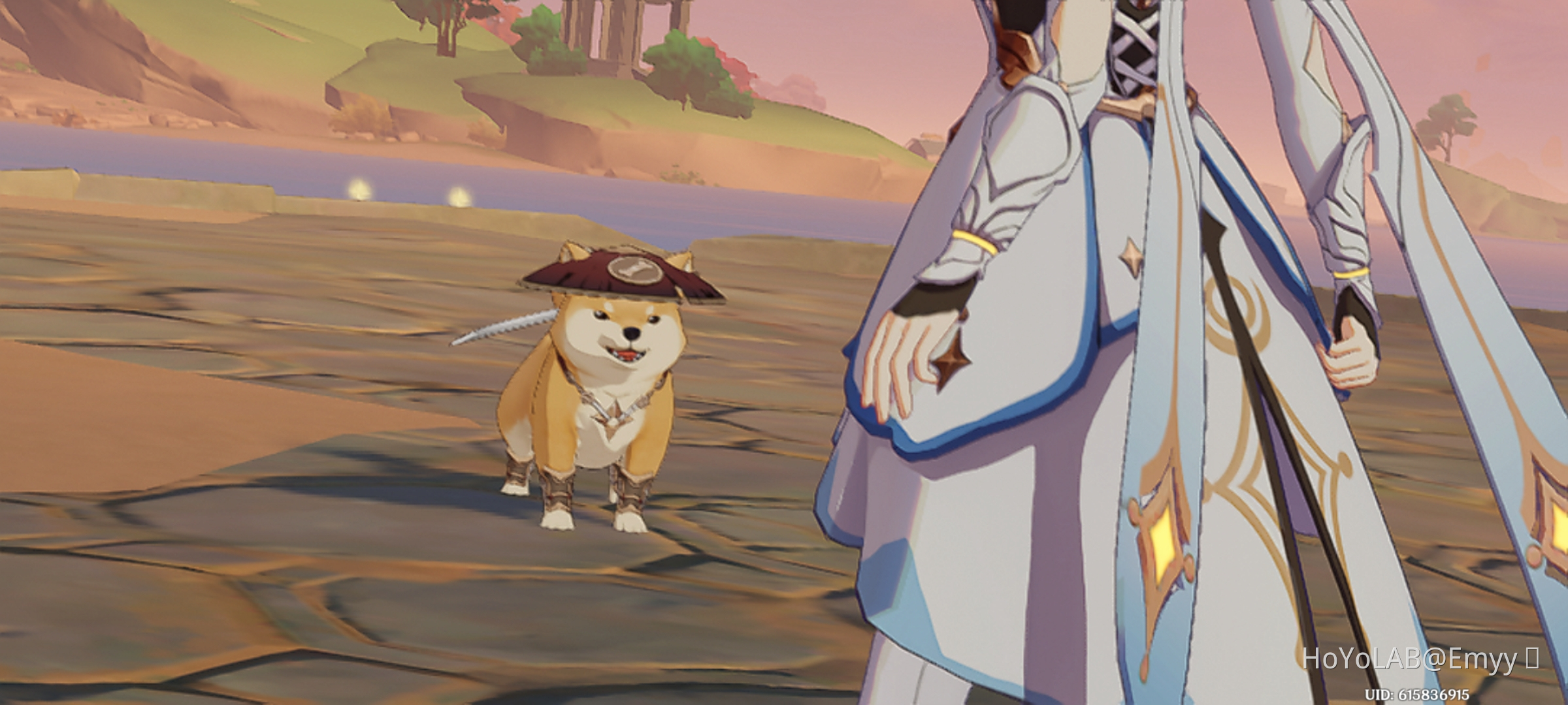 dog do capet3inh4 Genshin Impact HoYoLAB