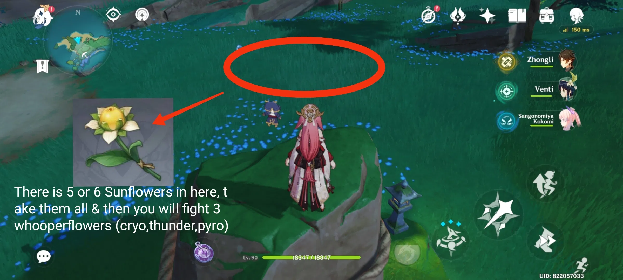 Hidden Chest Challange Watatsumi Island! Genshin Impact HoYoLAB