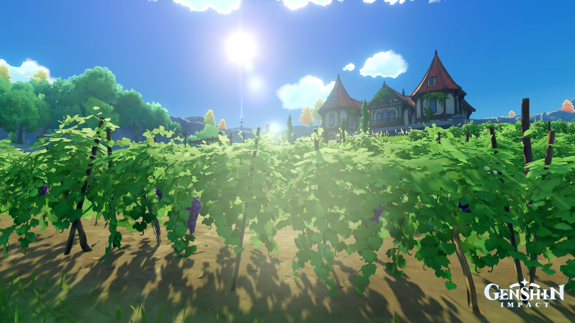 [Adventure's Journal] Beautiful morning at Dawn Winery Genshin Impact