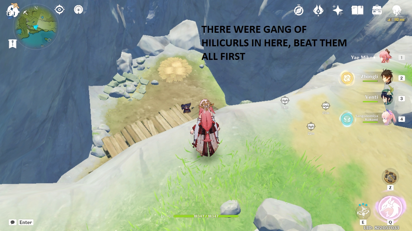 BISHUI PLAIN Hidden Precious & 2 Exquisite Chest Location! Genshin