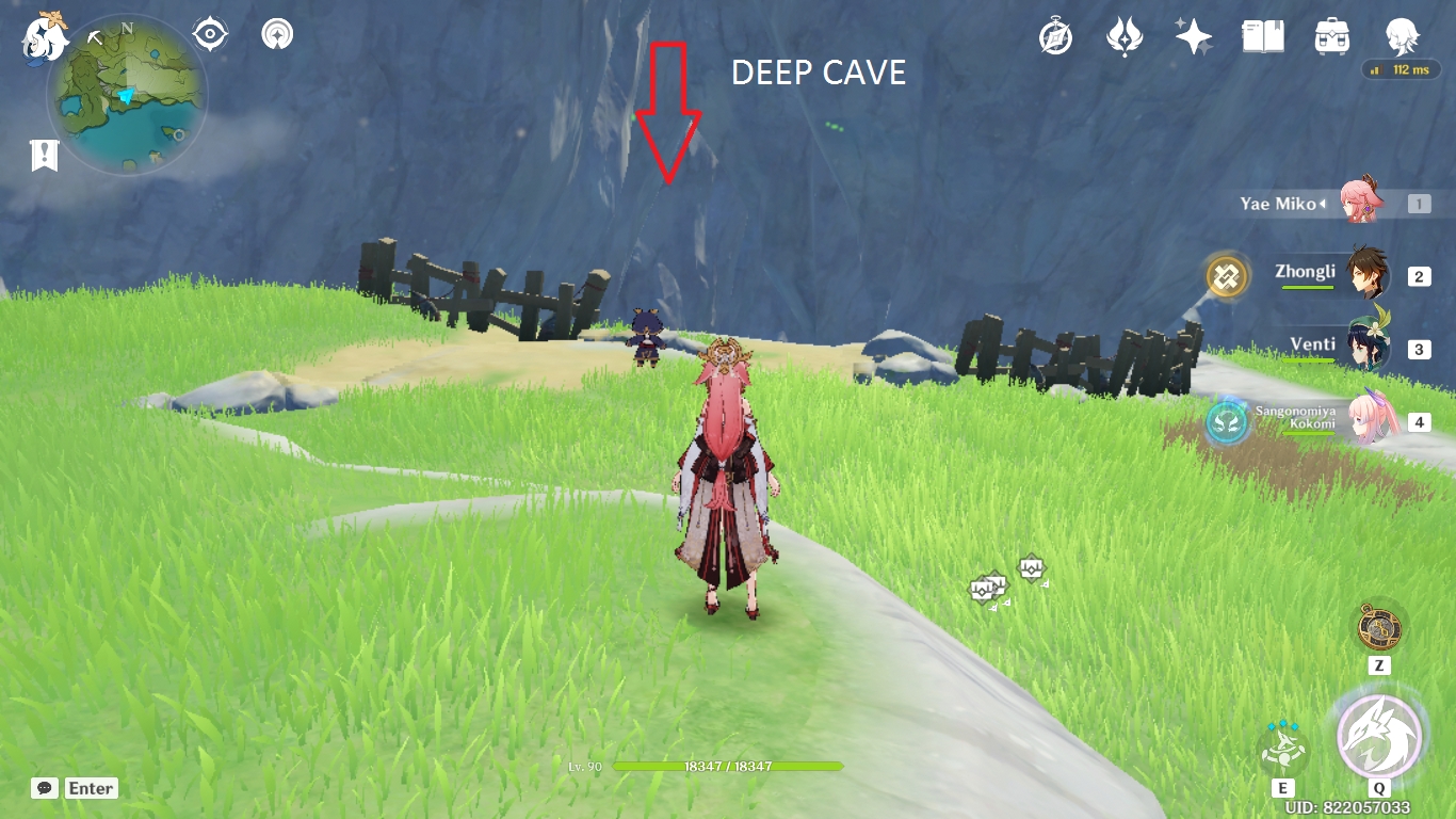 BISHUI PLAIN Hidden Precious & 2 Exquisite Chest Location! Genshin