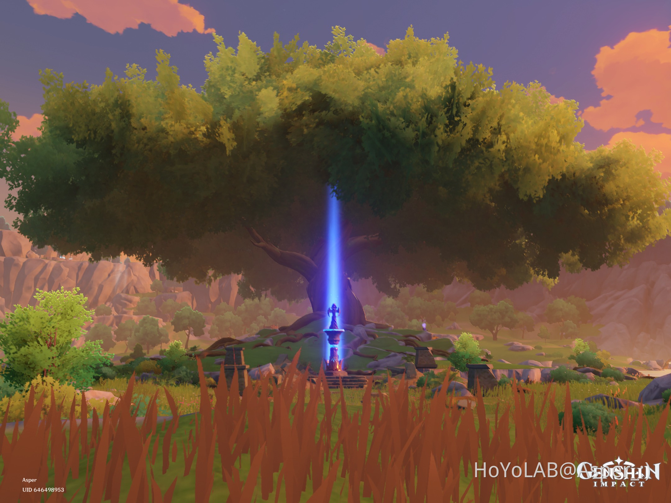 Memories of Teyvat Day 2 Mondstadt Genshin Impact HoYoLAB