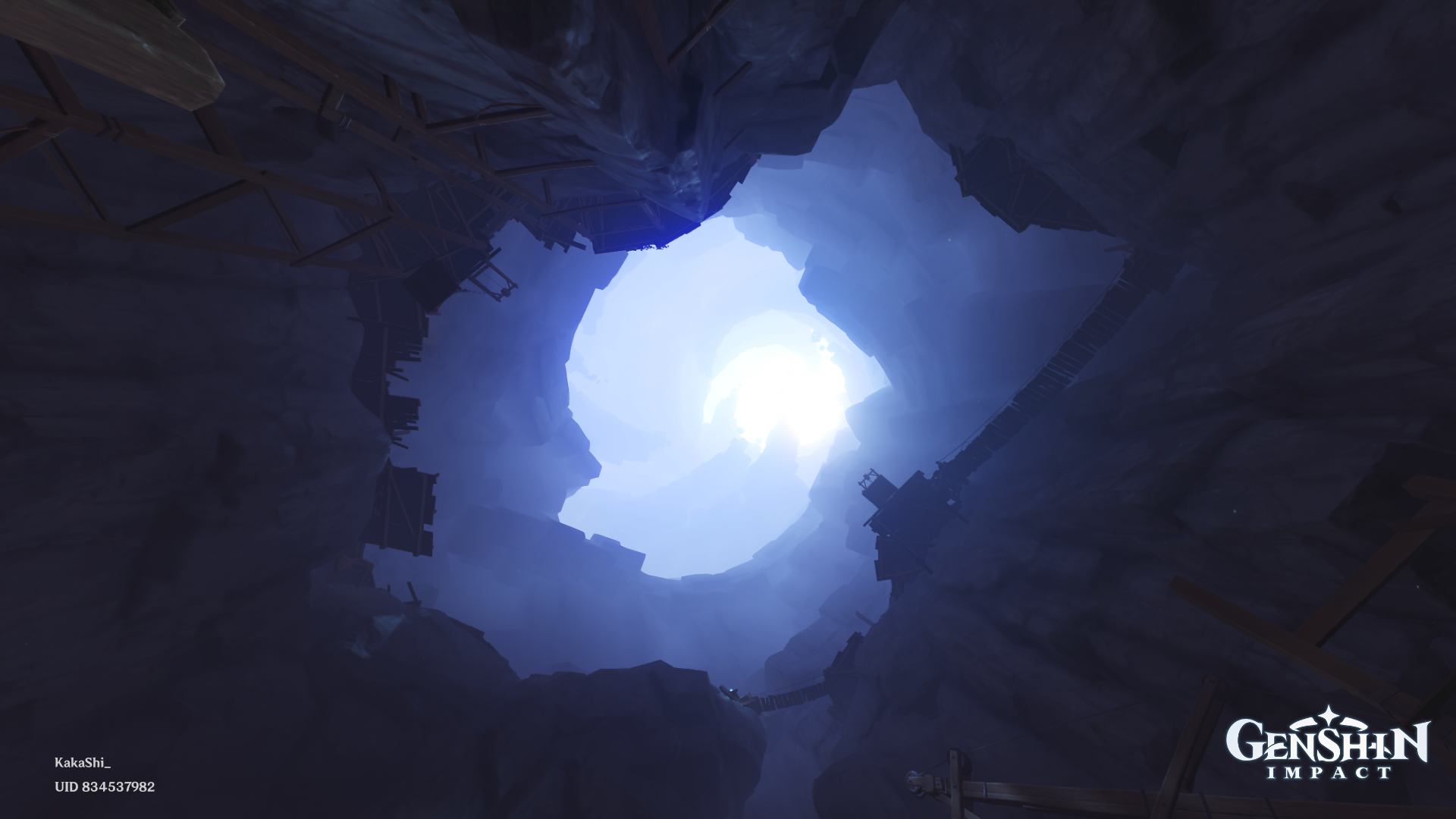 pov : u fell while exploring chasm Genshin Impact | HoYoLAB