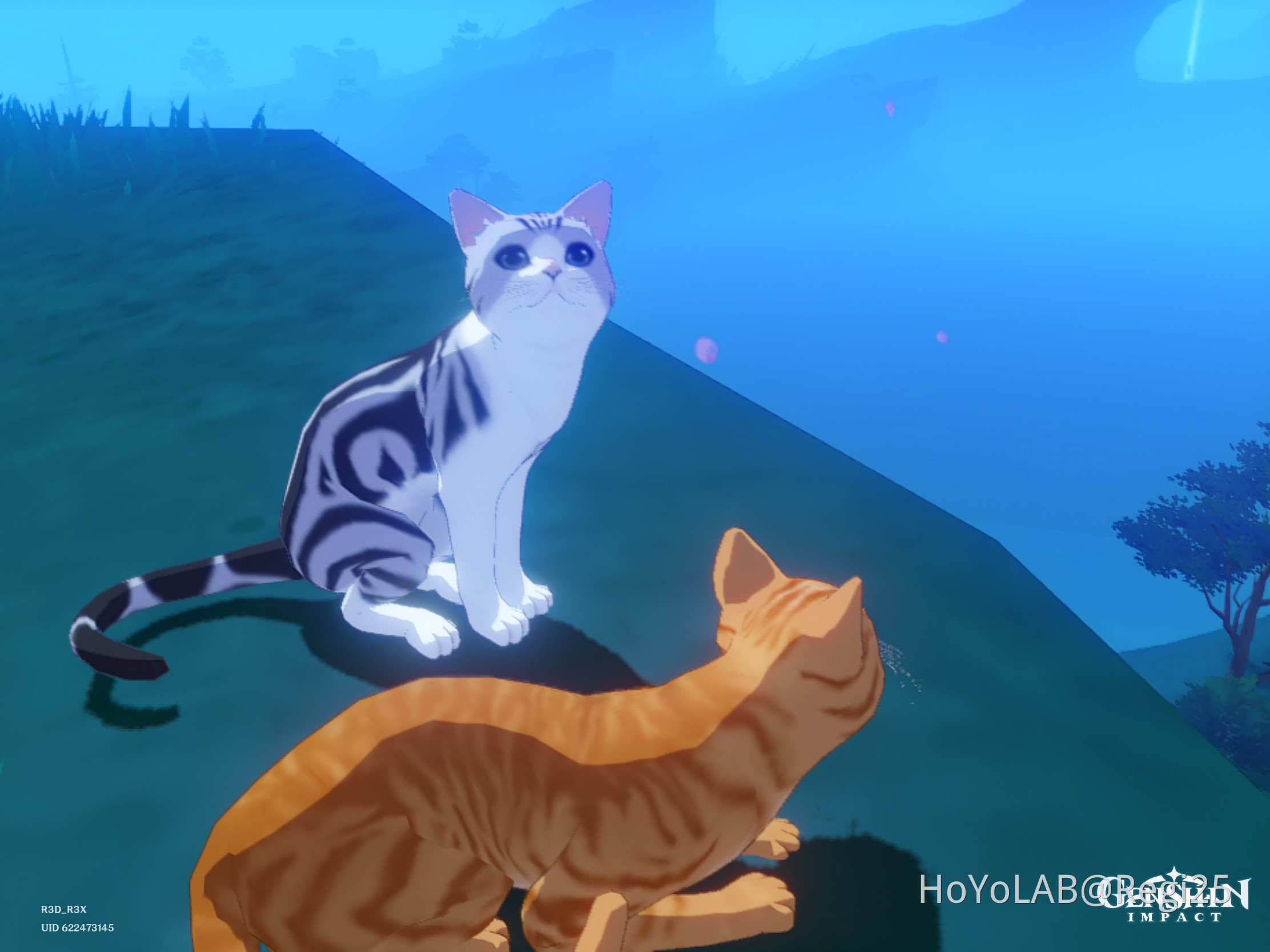 Cute cats on a date? Genshin Impact | HoYoLAB