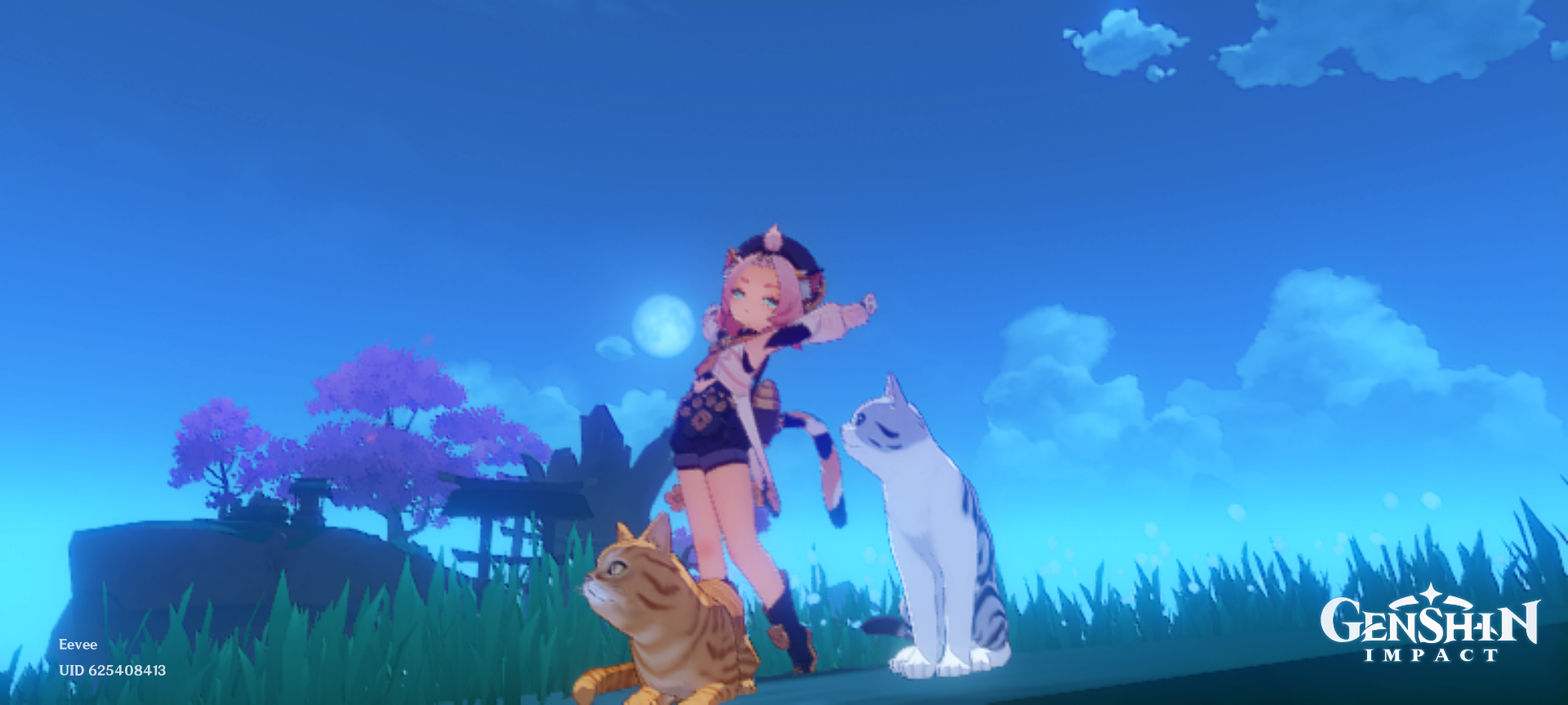 Just some cats hanging out Genshin Impact | HoYoLAB