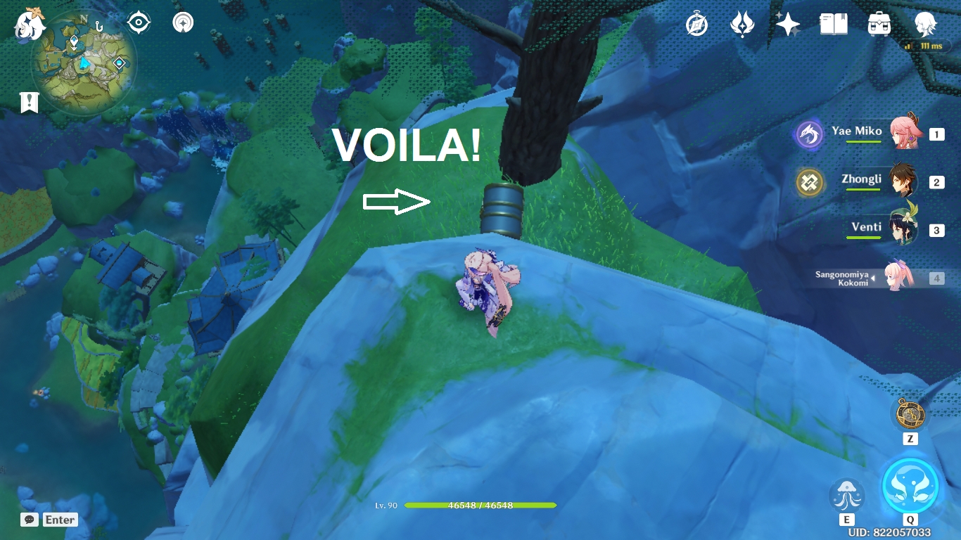 BISHUI PLAIN Wuwang Hill Dragon Statues Pool Hidden Luxurious Chest